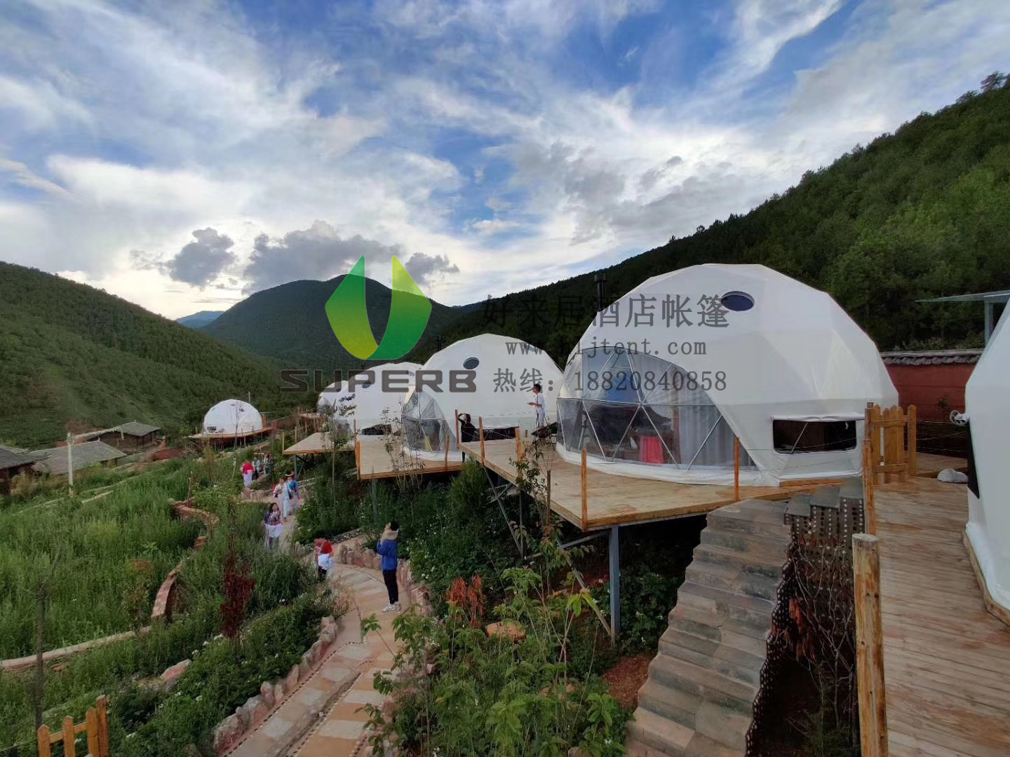 為什么星空酒店帳篷受到青菜 為什么星空酒店帳篷受到青菜