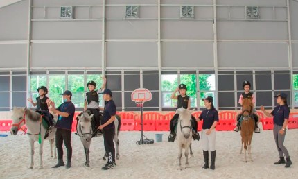 裝配式馬術場篷房助推馬術運動的發(fā)展